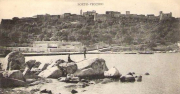 Marine_254
