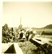 Marine_39