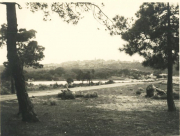 Marine_42