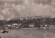 Marine_71