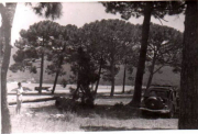Plage_1946