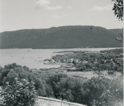 Port_1411