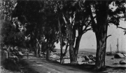 Route_Port_D