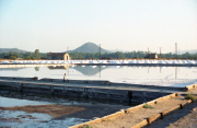 Marais_20222