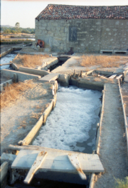 Marais_20225
