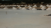 Marais_29
