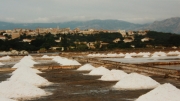 Marais_35