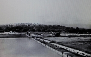 Marais_43