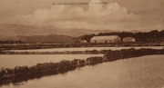 Marais_44