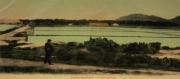 Marais_48