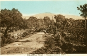 Muntagna_1