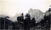 Muntagna_106