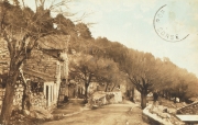 Muntagna_120