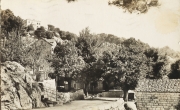 Muntagna_121