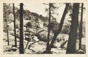 Muntagna_131