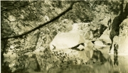 Muntagna_24