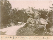 Muntagna_305