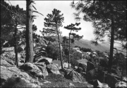 Muntagna_309