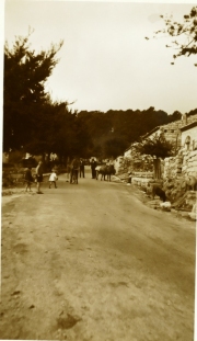 Muntagna_41