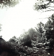 Muntagna_54