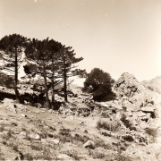 Muntagna_57