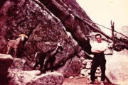 Muntagna_63