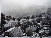 Muntagna_72