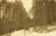Muntagna_80