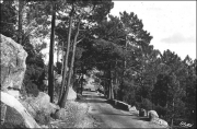 Muntagna_84