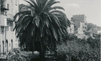 Quar_11142