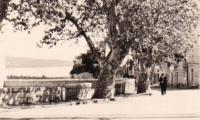 Rue_Pasteur
