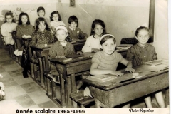 Scola_44