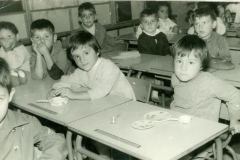 Scola_84