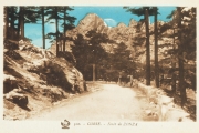 Zonza_Bavella0182_