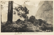 Zonza_Bavella_145